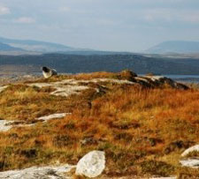 Ireland-Galaway & Mayo-The Wild West of Mayo cycling safari